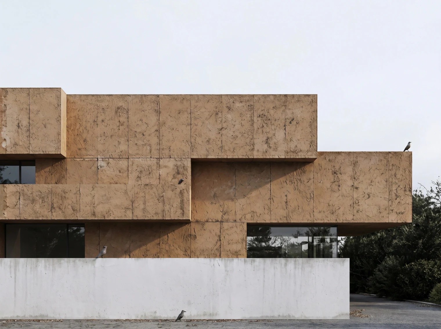 Stacked volumes of sand-coloured textured concrete over a white boundary wall, with birds on the ledges and olive trees at one side.